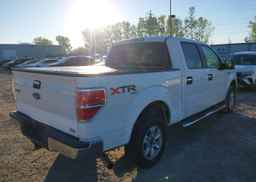 2010 FORD F-150 FX4