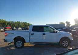 2010 FORD F-150 FX4