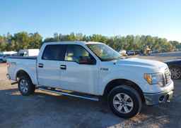 2010 FORD F-150 FX4