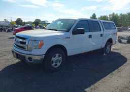 2014 FORD F150 SUPERCREW
