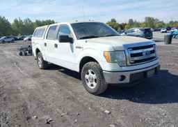 2014 FORD F150 SUPERCREW