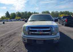 2014 FORD F150 SUPERCREW