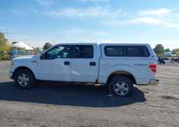 2014 FORD F150 SUPERCREW