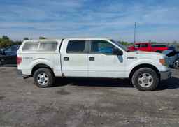 2014 FORD F150 SUPERCREW