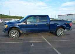 2010 FORD F-150 FX4