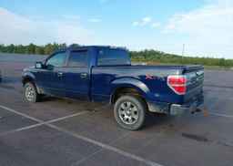 2010 FORD F-150 FX4