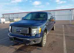 2010 FORD F-150 FX4