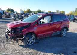 2013 FORD ESCAPE SEL