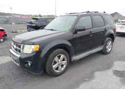 2010 FORD ESCAPE LIMITED