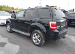 2010 FORD ESCAPE LIMITED