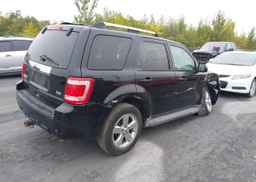 2010 FORD ESCAPE LIMITED