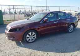 2008 HONDA ACCORD EX-L V6