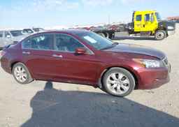2008 HONDA ACCORD EX-L V6
