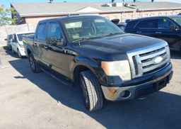 2009 FORD F-150 FX4