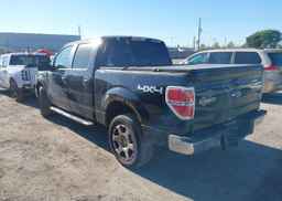 2009 FORD F-150 FX4