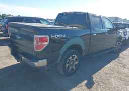 2009 FORD F-150 FX4