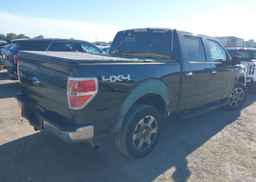 2009 FORD F-150 FX4