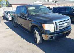 2009 FORD F-150 FX4