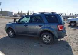 2010 FORD ESCAPE XLT