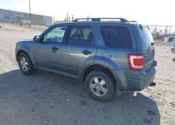 2010 FORD ESCAPE XLT
