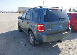 2010 FORD ESCAPE XLT