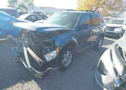 2010 FORD ESCAPE XLT