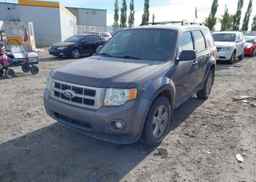 2012 FORD ESCAPE XLT