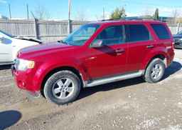 2011 FORD ESCAPE XLT