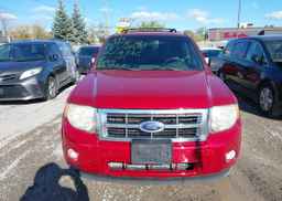 2011 FORD ESCAPE XLT