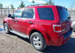 2011 FORD ESCAPE XLT