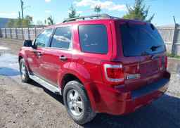 2011 FORD ESCAPE XLT