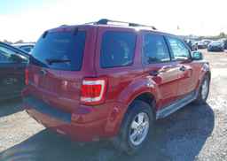 2011 FORD ESCAPE XLT
