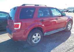 2011 FORD ESCAPE XLT