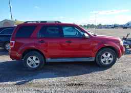 2011 FORD ESCAPE XLT