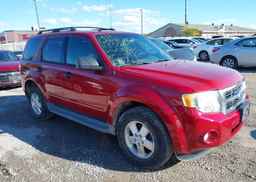2011 FORD ESCAPE XLT