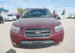 2009 HYUNDAI SANTA FE SE