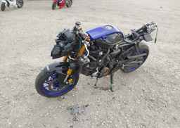 2025 YAMAHA YZFR7