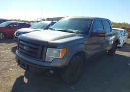 2010 FORD F-150