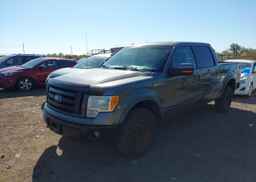 2010 FORD F-150