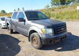 2010 FORD F-150
