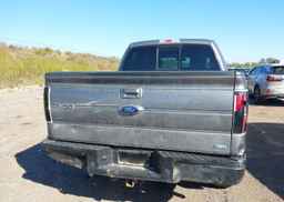 2010 FORD F-150