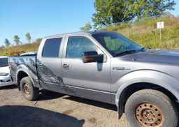 2010 FORD F-150