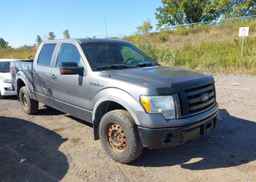 2010 FORD F-150