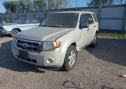 2009 FORD ESCAPE XLT
