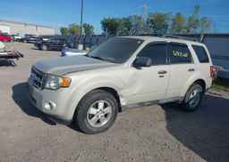 2009 FORD ESCAPE XLT