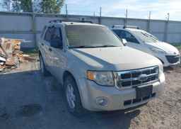 2009 FORD ESCAPE XLT