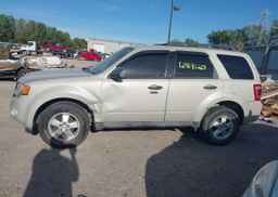 2009 FORD ESCAPE XLT