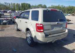 2009 FORD ESCAPE XLT