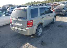 2009 FORD ESCAPE XLT