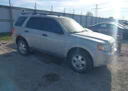 2009 FORD ESCAPE XLT